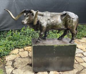 Longhorn_Parra 2